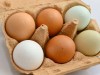 25일부터 가정용 달걀 선별포장 의무화된다
