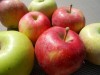사과, 단감 등 농산물 안전관리 강화한다!