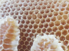 자연이 주는 선물, 꿀의 효능 알아보기