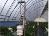 농식품부, 딸기 농가를 위한 스마트팜 영농지원 개시